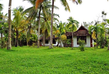 Bookmytripholidays | Palmgrove Lake Resort,Alappuzha  | Best Accommodation packages